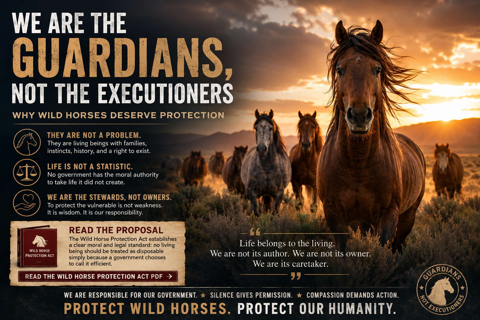 We Are the Guardians, Not the Executioners: Why Wild Horses Deserve Protection